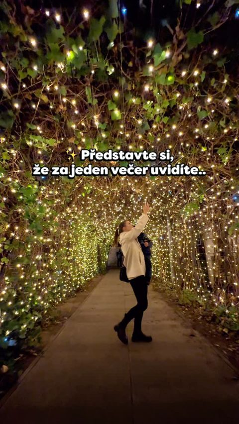 Post #storyoflights