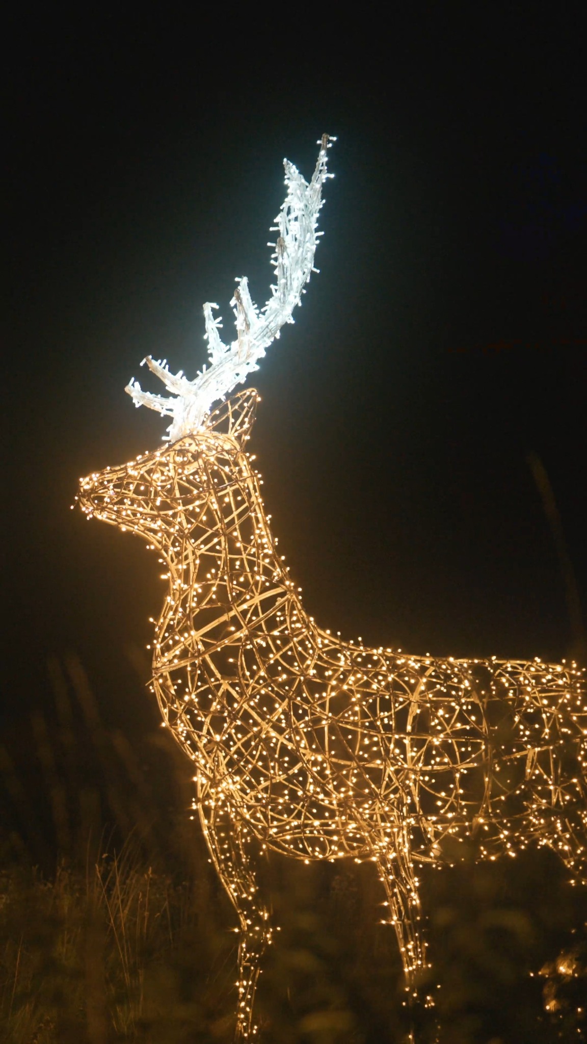 Príspevok #storyoflights