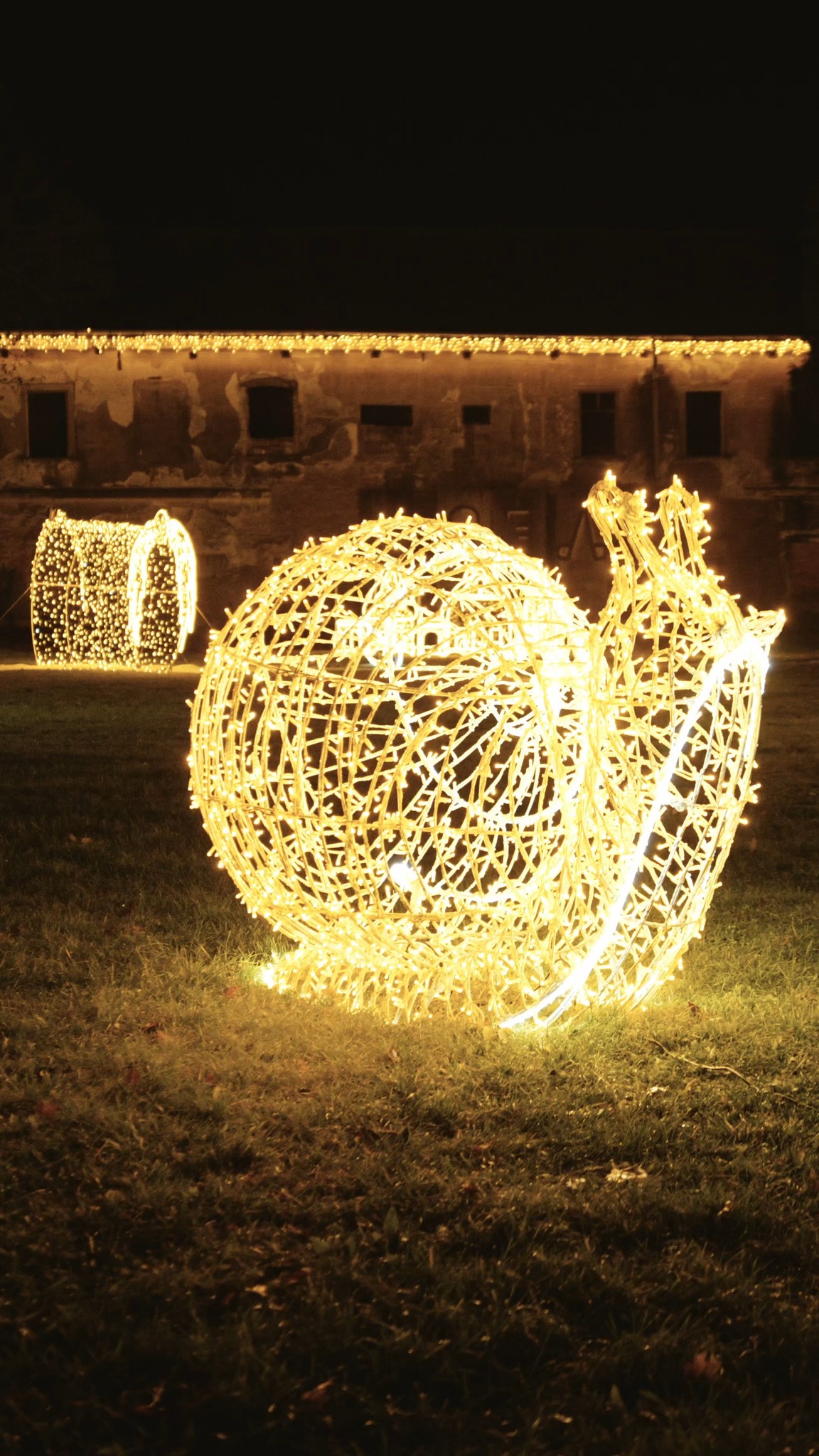 Príspevok #storyoflights