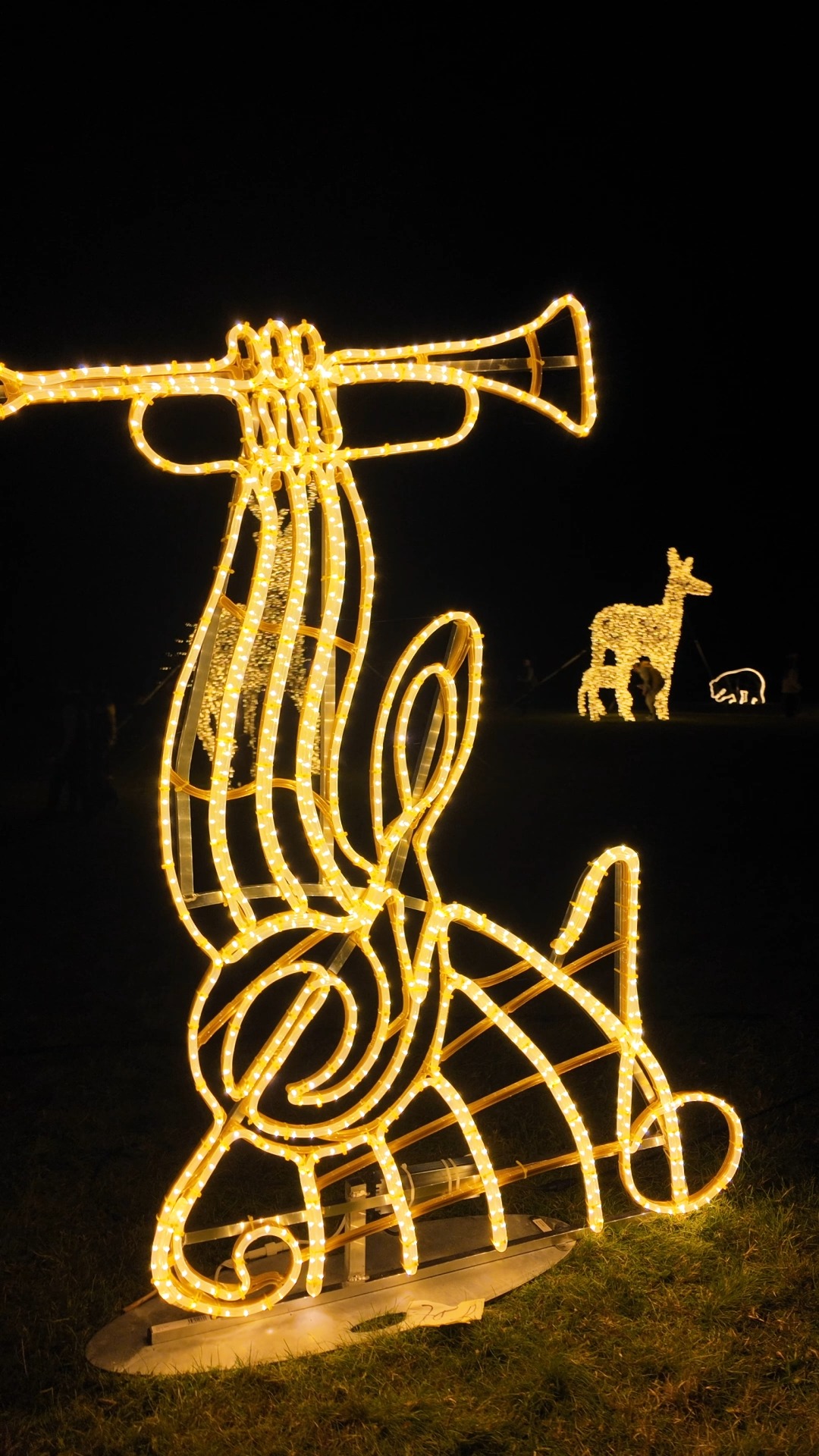 Príspevok #storyoflights