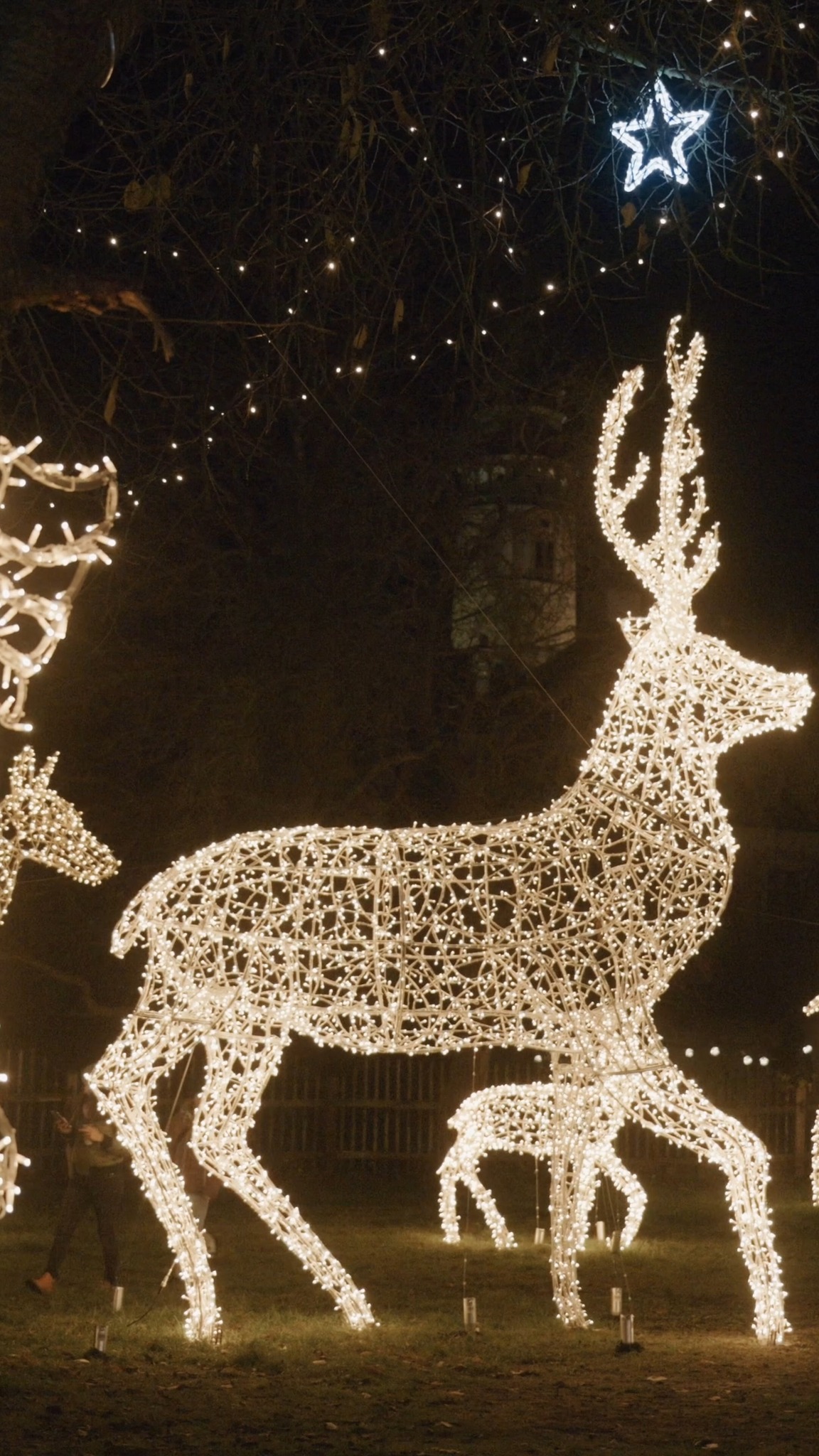 Príspevok #storyoflights